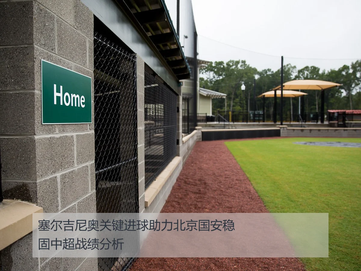 塞尔吉尼奥关键进球助力北京国安稳固中超战绩分析